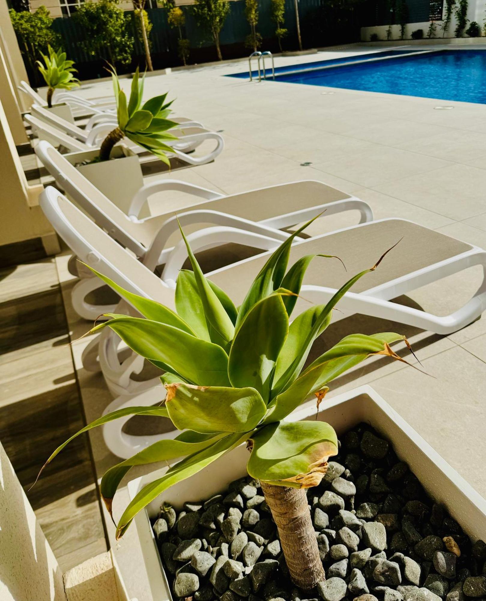 Calpe Beach II - Sea & Pool View Apartment מראה חיצוני תמונה